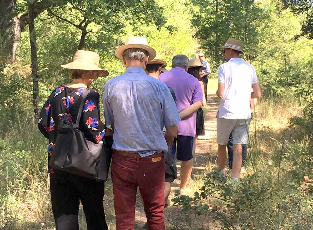 sortie-culturelle-bouche-du-rhone